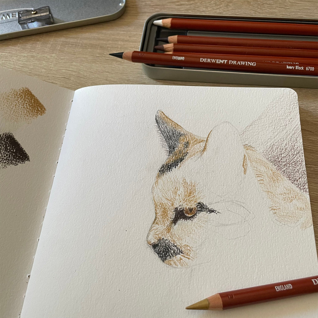 Lápices de color Drawing, Derwent